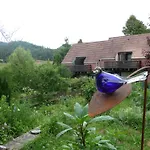Hotel Alsace Village 2*