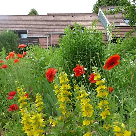 Hotel Alsace Village 2*