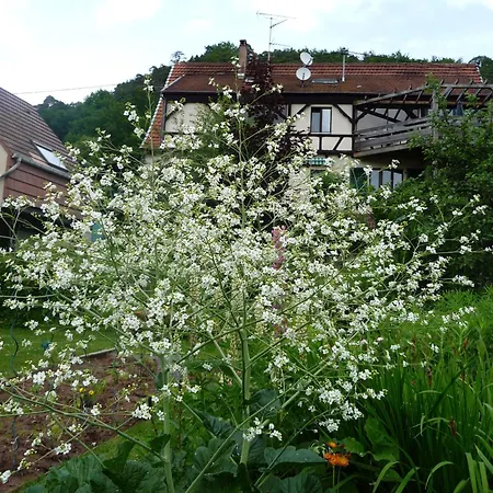 Alsace Village Hotell Obersteinbach