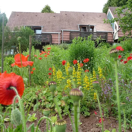 Hotel Alsace Village 2*