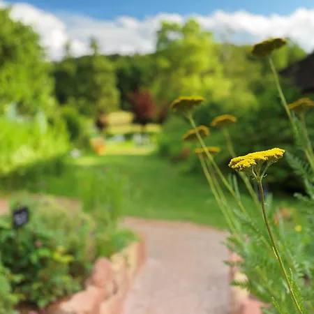 Alsace Village 2* Obersteinbach