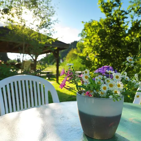 Alsace Village Hotell Obersteinbach