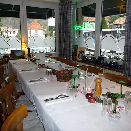阿尔萨斯村酒店 酒店 Obersteinbach