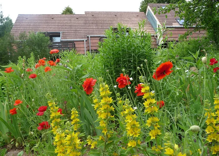 Hotel Alsace Village 2*