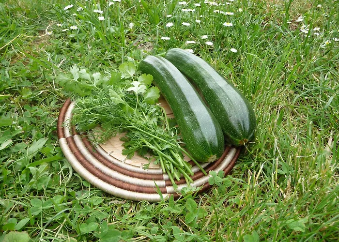 Alsace Village Hotel