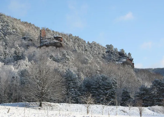 Alsace Village Hotel Obersteinbach