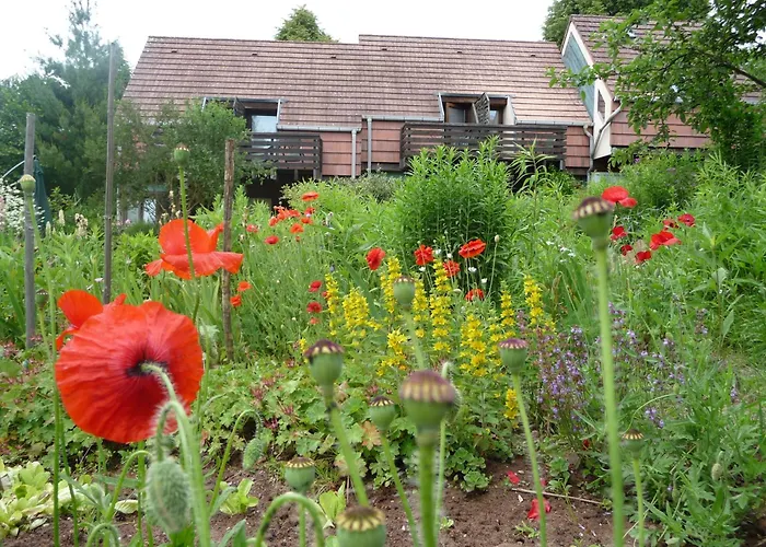 Hotel Alsace Village 2*