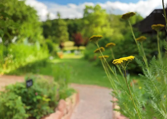 Alsace Village 2* Obersteinbach